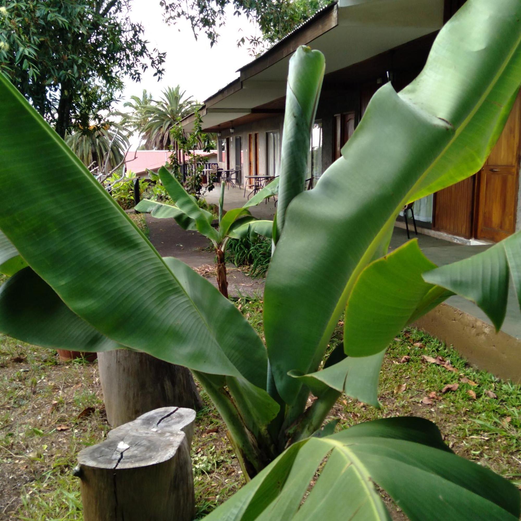 Hostal Tu'U Koihu Hanga Roa Exterior photo
