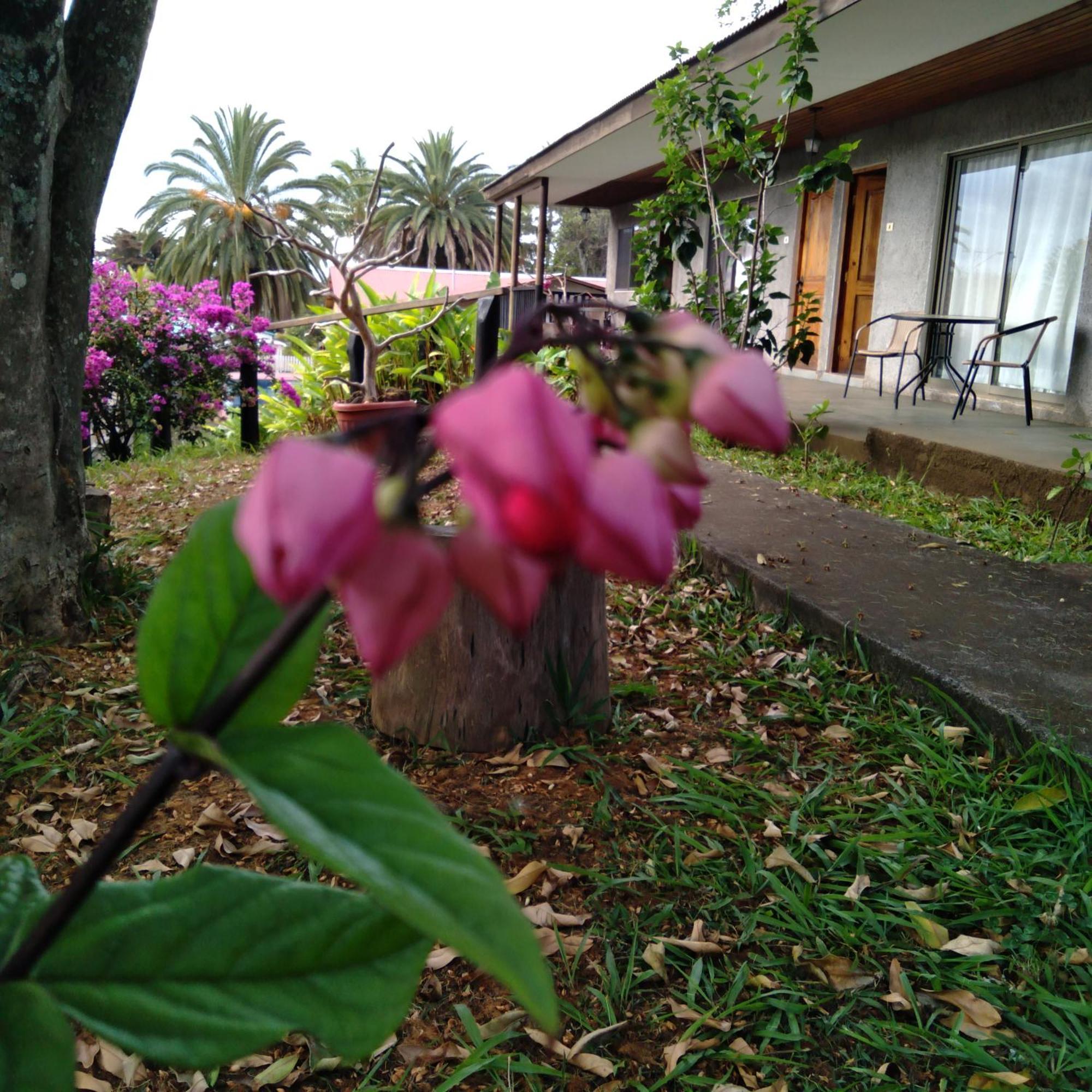 Hostal Tu'U Koihu Hanga Roa Exterior photo